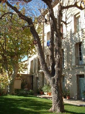 T1 Rez de Chaussée 35 m2 — photo 2