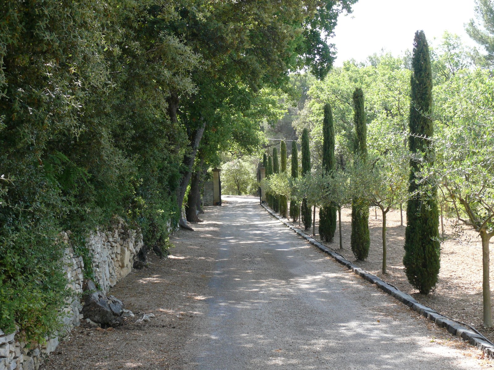 Maison de 250m2 — photo 5
